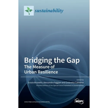 Bridging the Gap: The Measure of Urban Resilience