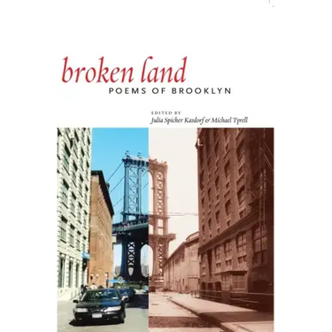 Broken Land: Poems of Brooklyn