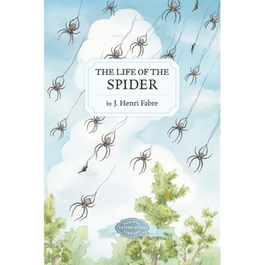 The Life of the Spider