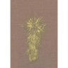 Marfa and Presidio County, Texas: A Social, Economic, and Cultural Study 1937 to 2008 Volume Two, 1990-2008