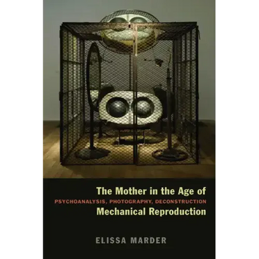 The Mother in the Age of Mechanical Reproduction: Psychoanalysis, Photography, Deconstruction