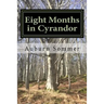 Eight Months in Cyrandor
