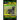 Pyrenees Shepherd, Pyrenean Shepherd Training AAA AKC Think Like a Dog, But Don't Eat Your Poop! Pyrenees Shepherd Breed Expert Training: Here's EXACT