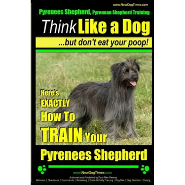 Pyrenees Shepherd, Pyrenean Shepherd Training AAA AKC Think Like a Dog, But Don't Eat Your Poop! Pyrenees Shepherd Breed Expert Training: Here's EXACT