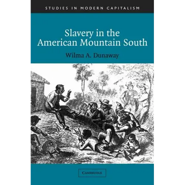 Slavery in the American Mountain South