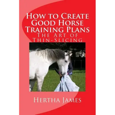 How to Create Good Horse Training Plans: The Art of Thin-Slicing