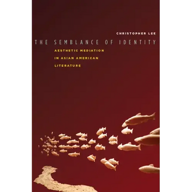 The Semblance of Identity: Aesthetic Mediation in Asian American Literature