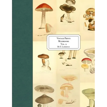 Vintage Prints: Mushrooms: Vol. 2