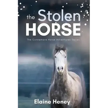 The Stolen Horse - Book 4 in the Connemara Horse Adventure Series for Kids The Perfect Gift for Children age 8-12