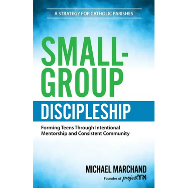 Small-Group Discipleship: Forming Teens Through Intentional Mentorship and Consistent Community a Strategy for Catholic Parishes
