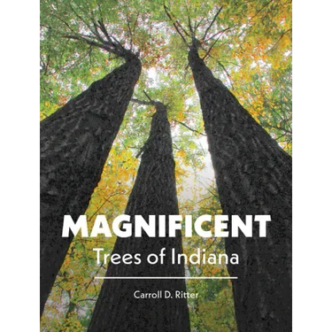 Magnificent Trees of Indiana