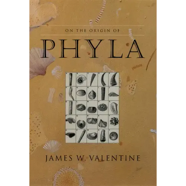 On the Origin of Phyla