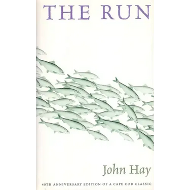 The Run