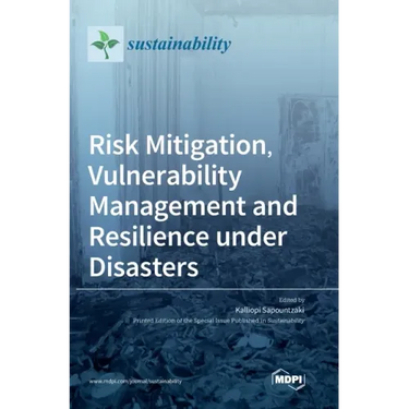 Risk Mitigation, Vulnerability Management and Resilience under Disasters