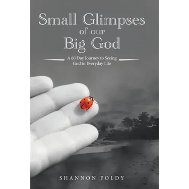 Small Glimpses of Our Big God: A 60 Day Journey to Seeing God in Everyday Life