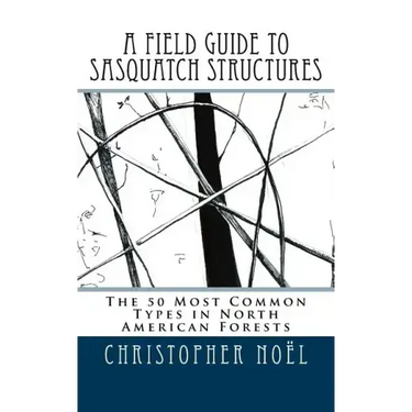 A Field Guide to Sasquatch Structures: The 50 Most Common Types in North American Forests