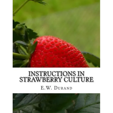 Instructions in Strawberry Culture: or, How To Grow Strawberries