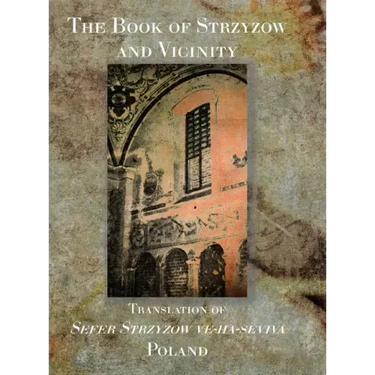The Book of Strzyzow and Vicinity Poland