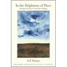 In the Brightness of Place: Topological Thinking with and After Heidegger