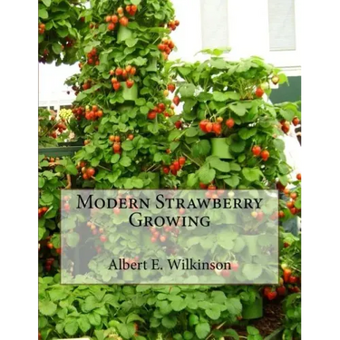 Modern Strawberry Growing