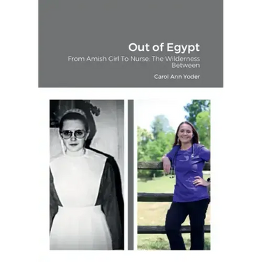 Out of Egypt: From Amish Girl To Nurse: The Wilderness Between