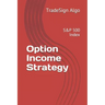 Option Income Strategy: S&P 500 Index