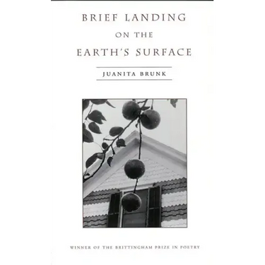 Brief Landing on the Earth's Surface: Volume 1996