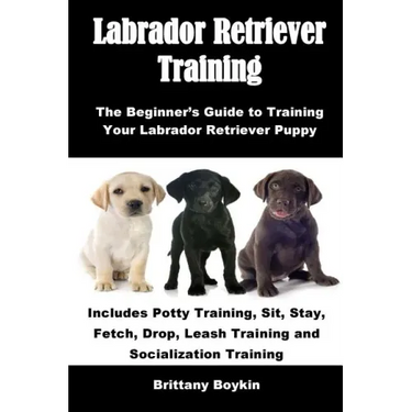 Labrador Retriever Training: The Beginner's Guide to Training Your Labrador Retriever Puppy: Includes Potty Training, Sit, Stay, Fetch, Drop, Leash