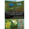 Wetland Plants of the Upper Midwest