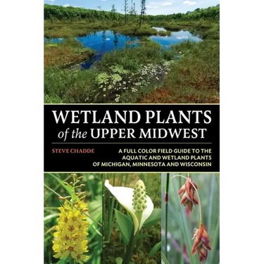 Wetland Plants of the Upper Midwest