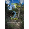 The Ocotillo Review Volume 6.2