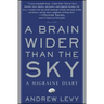 Brain Wider Than the Sky: A Migraine Diary