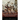 The Ultimate Pirate Collection: Blackbeard, Francis Drake, Captain Kidd, Captain Morgan, Grace O'Malley, Black Bart, Calico Jack, Anne Bonny, Mary Rea