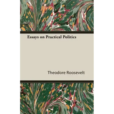 Essays on Practical Politics