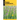 Prairie Wildflowers