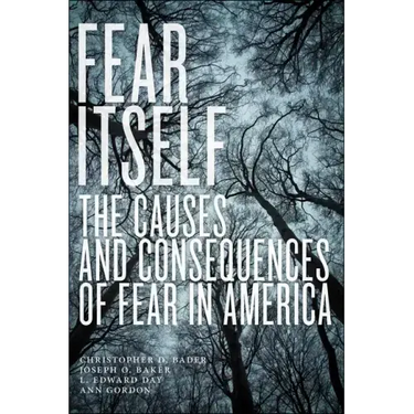 Fear Itself: The Causes and Consequences of Fear in America