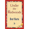 Under the Redwoods