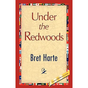 Under the Redwoods
