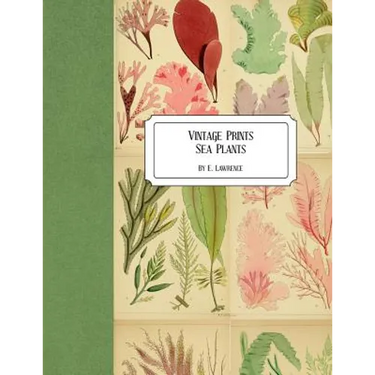 Vintage Prints: Sea Plants