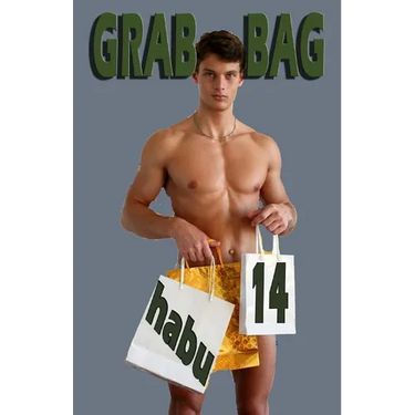 Grab Bag 14: A Gay Erotica Anthology