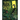 Things in the Basement