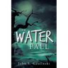 The Water Fall