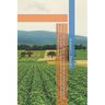 Regenerative Agriculture: A Global Climate Solutions Insight on Building Soil Health, Reducing Emissions, Improving Resilience, and Restoring Ecosyste