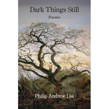 Dark Things Still