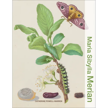 Maria Sibylla Merian