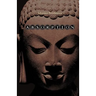 Absorption. Human Nature and Buddhist Liberation