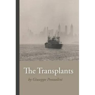 The Transplants