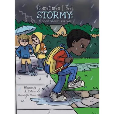 Sometimes I Feel Stormy: A Book About Feelings