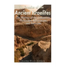 The Enemies of the Ancient Israelites: The History of the Canaanites, Philistines, Babylonians, and Assyrians