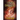 The Legacy Chronicles: Trial by Fire